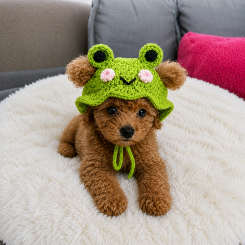 Hand-made Puppy Hat