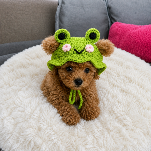 Hand-made Puppy Hat